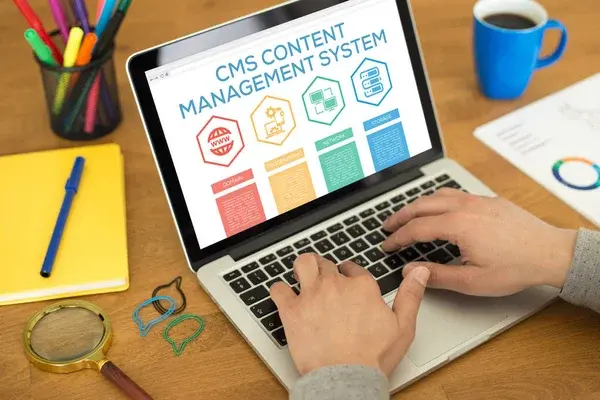 CMS Development